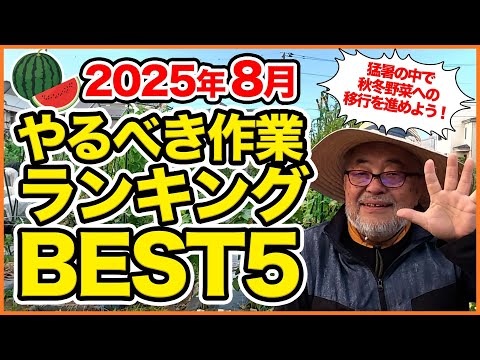 家庭菜園や農園で8月にやるべき作業BEST5！作業のコツとおすすめ品種の育て方を徹底解説！【農園ライフ】