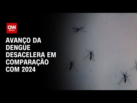 Avanço da dengue desacelera em comparação com 2024 | CNN PRIME TIME