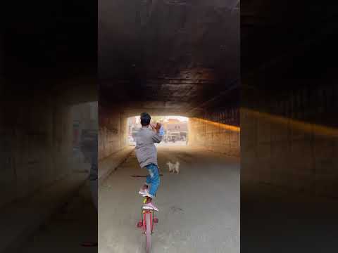 Mafia song # gunga cycle rider #youtubeshorts #viral stunds 🤑🤑🤑