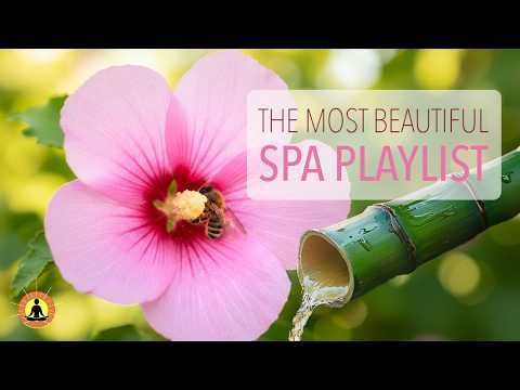 3 Hours of Soothing Spa Music for Digital Detox  | No Interrupting Ads