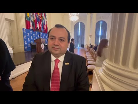 Declaraciones de Stuardo Ralón en la sede de la OEA