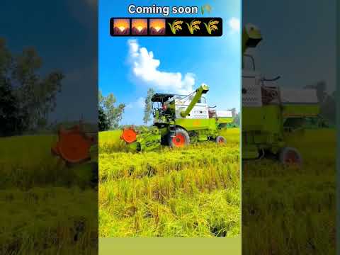 #trending #youtube #shortvideo #🌄🌄🌾🌾🌾🌾