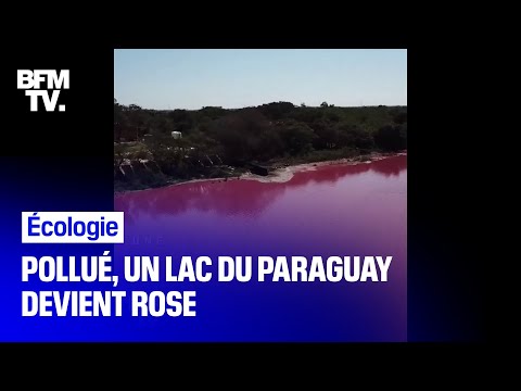Au Paraguay, un lac devient rose à cause de la pollution