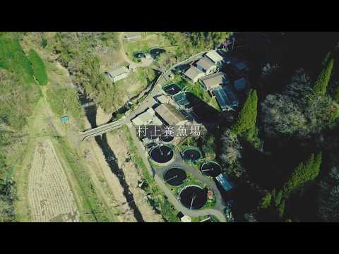 村上養魚場~奥阿蘇の恵