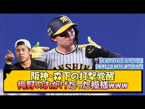 阪神・森下の打撃覚醒 梅野のおかげだった模様www【なんJ/2ch/5ch/ネット 反応 まとめ/阪神タイガース/藤川球児】