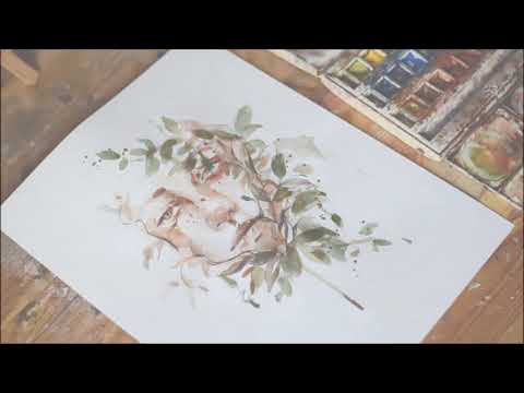 Another Watercolor Painting For You