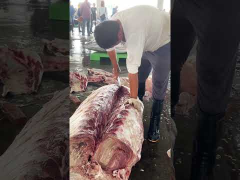 watch this 1500lb monster marlin get sliced like a beast#bigcatch #fishcutting #seafoodlover