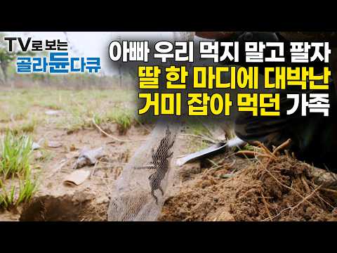 <strong>사는</strong> <strong>사람</strong> 있나 해서 팔았다가 대박. 하루종일 거미 잡으려고 회사 관둔 가족｜극한직업｜#골라듄다큐