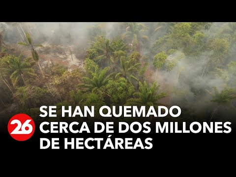 Sequía e incendios: Bolivia lucha contras las llamas |#26Global