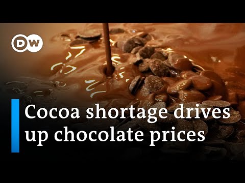 Chocolate prices soar this Easter | DW News