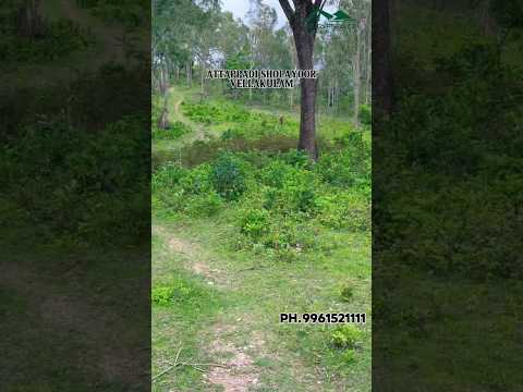 30ACRE#landforsale#property#resort #viewpoint#attappady#attappadi#realestate#tourism#land#trending
