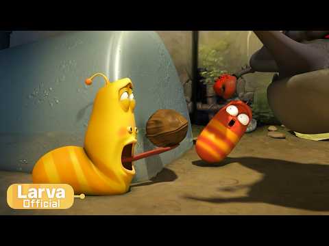 Walnut | Animation Compilation | Larva <strong>Tuba</strong> | Official