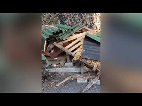 HA COSTRUITO UNA COLONIA FELINA CON TANTO AMORE E DEDIZIONE E GUARDATE CHE COSA È SUCCESSO!!
