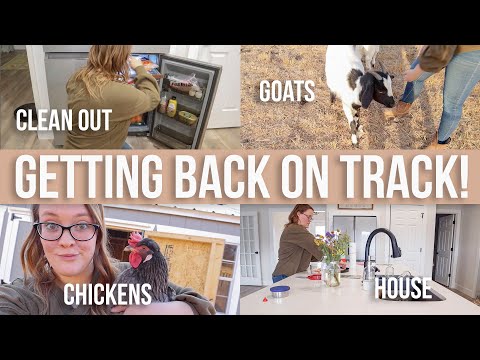 GET STUFF DONE WITH ME! // Home & Farm Cleaning