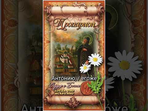 7 июля Прп. Антоний Дымский, Новгородский (ок.1224г)