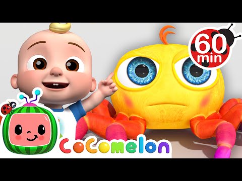Save the Itsy Bitsy Spider!🕷️ | CoComelon | Animals for Kids | Sing Along | Learn about Animals