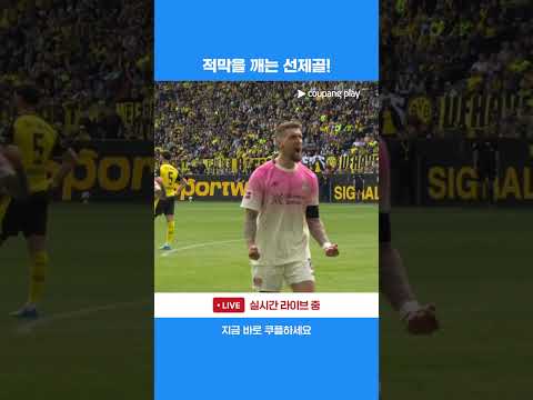선제골로 분위기를 가져오는 로베르트 안드리히 | 분데스리가 | 도르트문트 vs 레버쿠젠