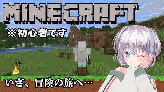 映画を見たらやっとマイクラを理解したからマイクラをやりたいにん！