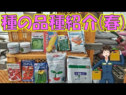 【種の紹介】苗はどれくらい値上がりするんでしょうかね。