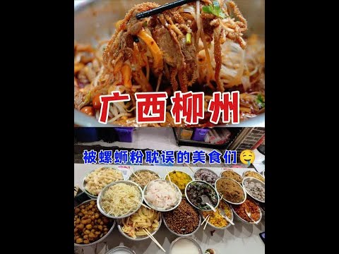 柳州,被螺蛳粉耽误的美食之城!流狗水了喔! #省饭课代表 #柳州 #旅行就要逛吃逛吃 #好好吃饭大赛 #吹爆美好目的地
