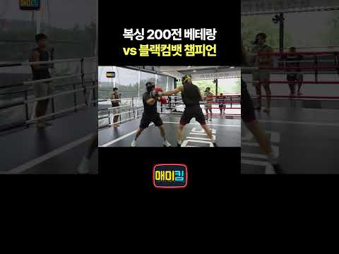 복싱 200전 <strong>베테랑</strong> vs 블랙컴뱃 챔피언