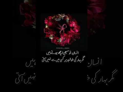 Nasheed DreamYa Rajaee (My Hope "Allah") (slowed and reverb) | #quotes