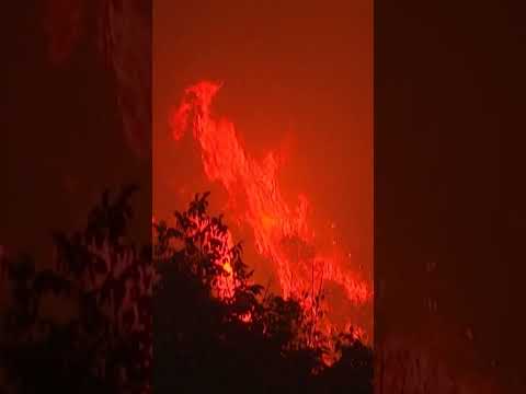 INCÊNDIO FLORESTAL DURA 3 DIAS | shorts