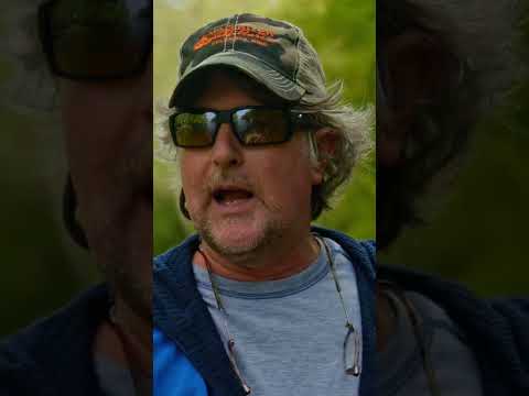 Sharpen Those Hooks, Anglers! #Shorts
