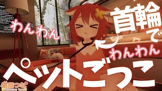 首輪でペットごっこ🐈ねこ