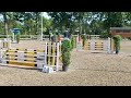 Show jumping horse Brave en talentvolle 9 jarige ruin