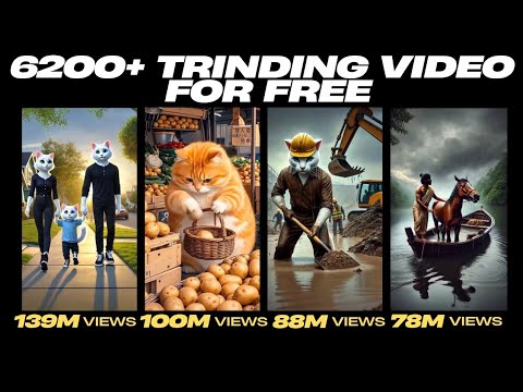 AI MEOW Meow Cat Video | AI Animals & Motion Graphics Video Bundle | #aicat #aiart