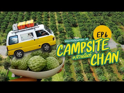 พาหมามาแค้มป์ปิ้ง---Campsite-C พาหมามาแค้มป์ปิ้ง---Campsite-C