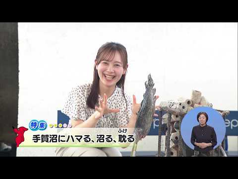 ウィークリー千葉県「手賀沼にハマる、沼る、耽る」R8/7/4