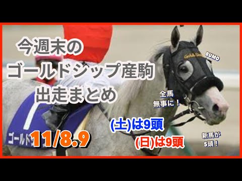【ゴールドシップ】今週末のゴールドシップ産駒の出走情報！5頭がデビュー🎉