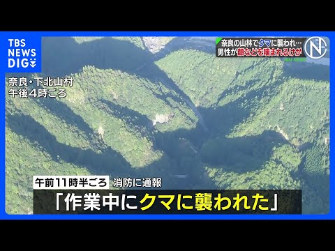 「作業中にクマに襲われた」60代男性が顔や両腕など噛まれて出血し病院に搬送　奈良・下北山村｜TBS NEWS DIG