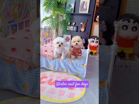 Winter coat for dogs. #shortsshorts #viralshort #viralvideo #usadogs  #funydog1010 #cutepuppy #funny