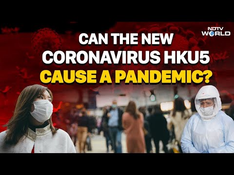 HKU5 Coronavirus China | How Dangerous Newly Discovered HKU5 Virus In China Can Be For Humans?