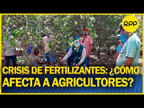 Crisis de fertilizantes: “Hay desabastecimiento de limón porque tenemos mercados informales”
