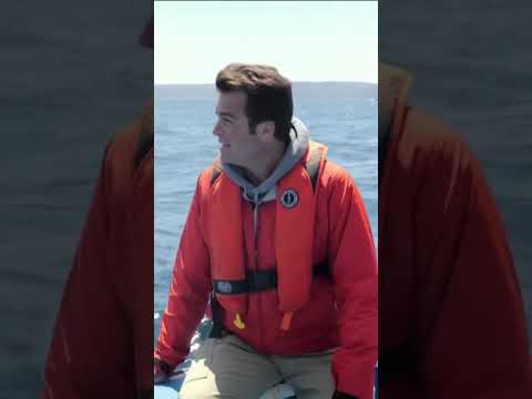 Locating the missing sub is like 'finding a needle in a moving haystack'