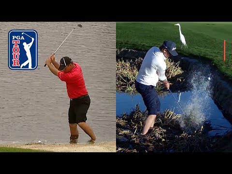 PGA TOUR?s best shots from the water