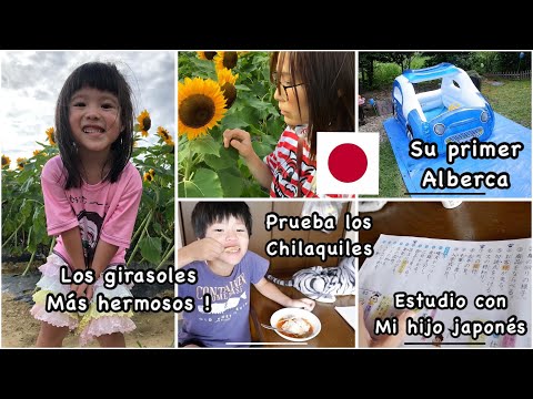Probe los chilaquiles de mi Madre Mexicana+primer alberca+los girasoles mas hermosos+videovlogjapon