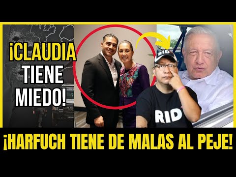 GARCÍA HARFUCH DIVIDE a SHEINBAUM y OBRADOR: ¡El SEGUNDO PISO de la 4T YA BAILÓ! | Compilación #402