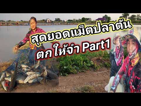 Ep217ตกกะพงบุพเฟ่แม็ตปลาตัน..ต