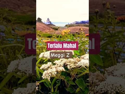 Terlalu Mahal - Meggi Z ( caver ) #dangdut #music #shorts
