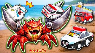 動画サムネイル