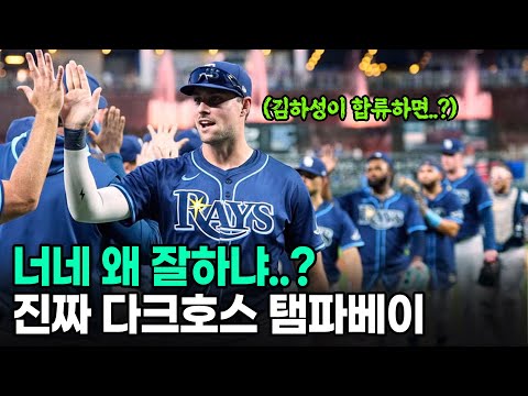 김하성의 탬파베이 레이스.. 어?? 이 팀 생각보다 강한데??