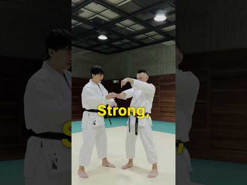 Why does this make you stronger?【Budo Karate】