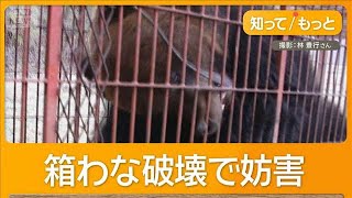 動画サムネイル