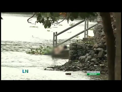 Hallan el cadáver de una mujer a orillas del Río Daule