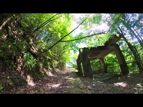 A 41-year-old Japanese person goes to heal in nature.